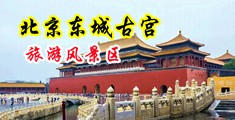 日本操小嫩逼视频中国北京-东城古宫旅游风景区